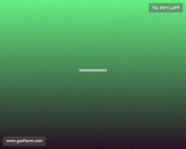 上海足球赛事绿茵场上激情对决精彩无限