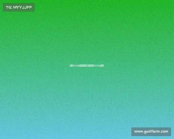 国际mma赛事有哪些(世界顶级mma赛事)